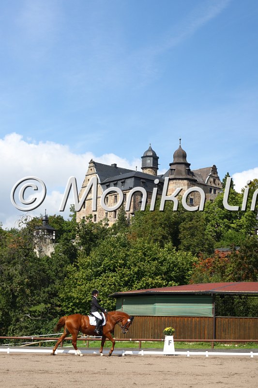 009M2627_Wittina_Dressur E.JPG